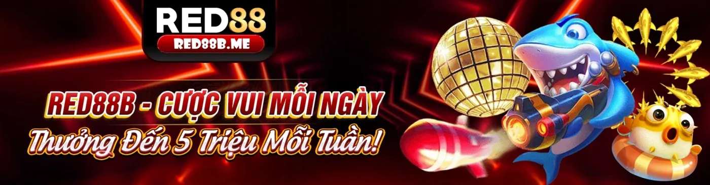 FCB8 Android cam kết tuân thủ GDPR, bảo vệ dữ liệu người dùng